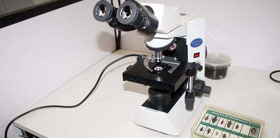 Laboratório da Sesa integrará rede nacional de monitoramento