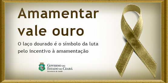 Sesa mobiliza Agentes Comunitários para reforçar aleitamento materno