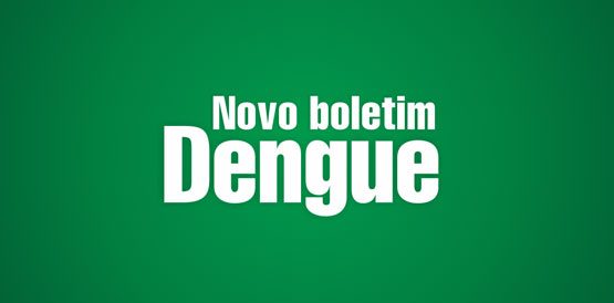 Notificações de dengue diminuem 21%