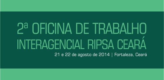 Oficina programa atividades da RIPSA Ceará