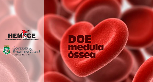 Hemoce intensifica cadastro de doadores de medula óssea