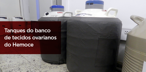 Ceará faz pesquisa para implantar o primeiro banco de tecidos ovarianos