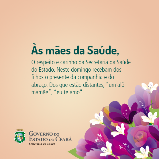 Homenagem às mães da Saúde
