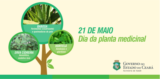 Exposição destaca eficácia das plantas medicinais nesta quinta, 21