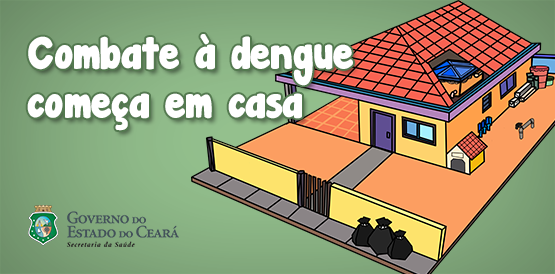 Faxina para eliminar criadouros do Aedes aegypti deve ser semanal