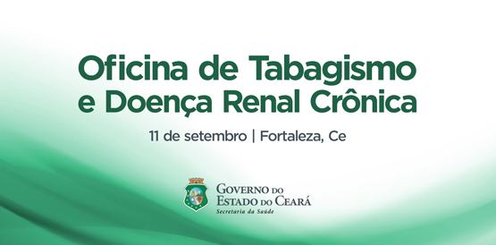 Oficina qualifica municípios para atenção à doença renal e tabagismo