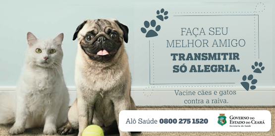 Vacinação de cães e gatos contra raiva começa em 14 de novembro