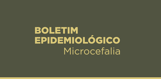 Boletim atualiza dados sobre microcefalia