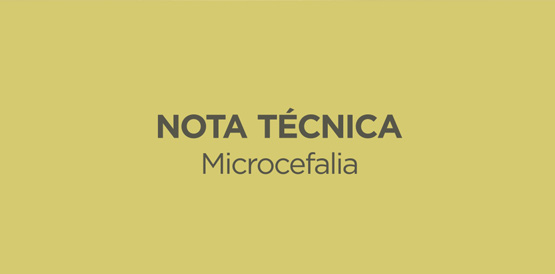 Sesa lança nota técnica para orientar profissionais sobre microcefalia