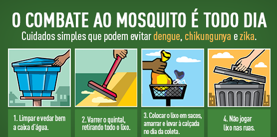 Cuidados com o mosquito Aedes aegypti devem ser triplicados