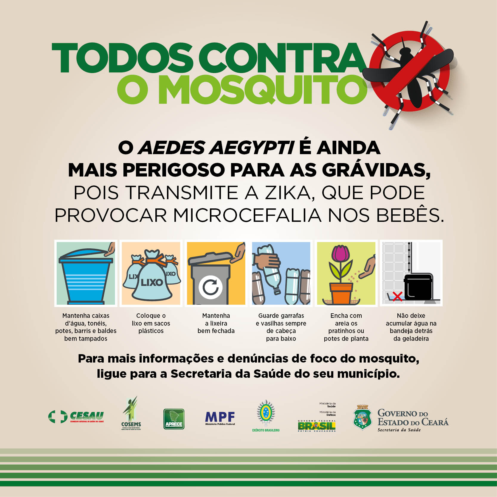 Cagece intensifica ações de combate ao Aedes aegypti