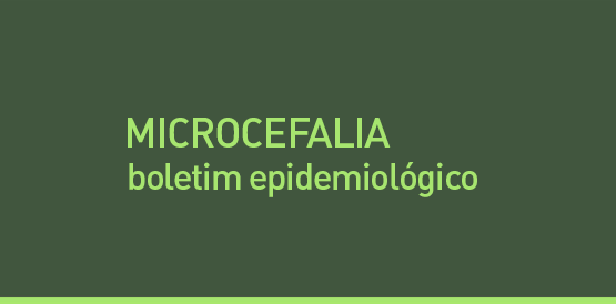 Boletim atualiza dados sobre microcefalia