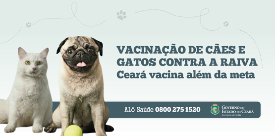 Ceará supera meta de vacinação de cães e gatos contra raiva