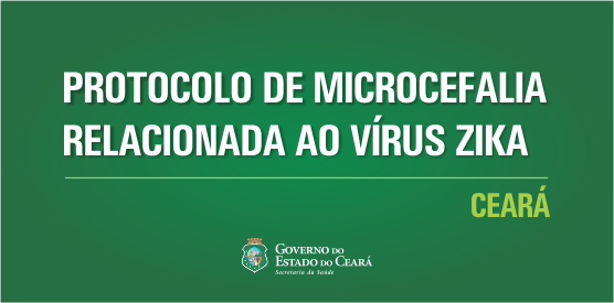 Ceará lança Protocolo de microcefalia relacionada ao Zika