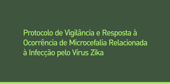 Protocolo orienta profissionais sobre microcefalia