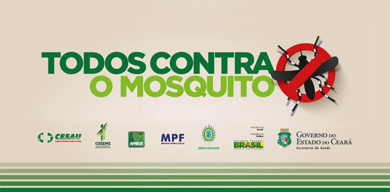 Aedes aegypti: conheça o mosquito e elimine essa ameaça