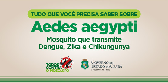 Mosquito Aedes agypti: todo mundo tem que combater