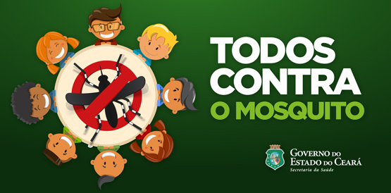 Iniciativas comunitárias são exemplos de combate ao mosquito