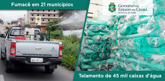 Fumacê combate Aedes aegypti em 21 municípios