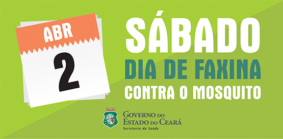 Sábado: dia de faxina para eliminar tudo que pode criar Aedes aegypti