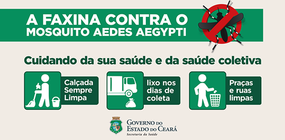 Cuidados com o mosquito devem ser maiores até junho