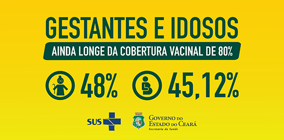 Idosos e gestantes são os que menos estão se vacinando contra gripe
