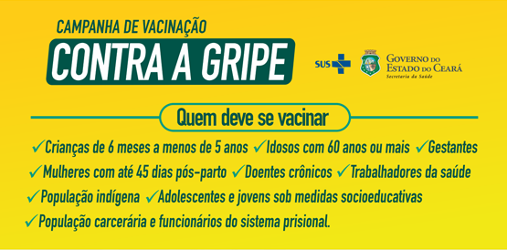 Vacinação contra gripe: 15 municípios já atingiram 50% de cobertura