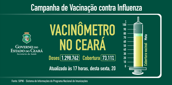 Vacinação contra gripe mantida para grupos prioritários até dia 27