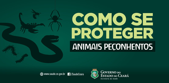 Saúde alerta para os cuidados com animais peçonhentos