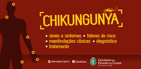 Saúde divulga apresentação, na íntegra, sobre chikungunya