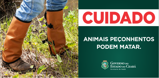 Cobra, escorpião e aranha matam. Previna acidentes.