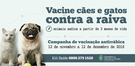 Vacinação de cães e gatos contra raiva começa dia 12 em Fortaleza
