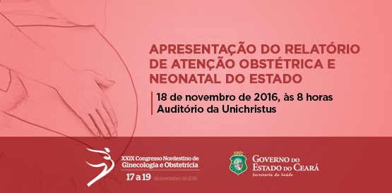 Comitê apresenta relatório da atenção obstétrica e neonatal