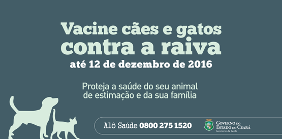 Vacinação de cães e gatos contra a raiva está em 71%