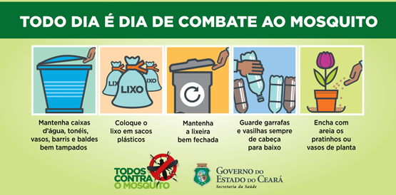 Aedes aegypti: Relatório revela principais focos no Estado