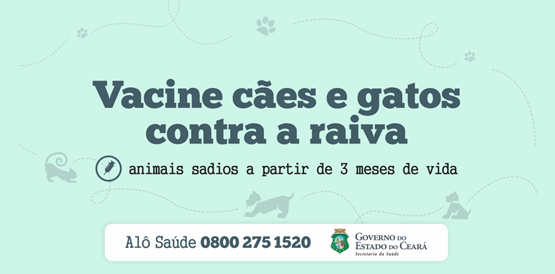 Ceará alcança meta de cobertura de vacinação antirrábica