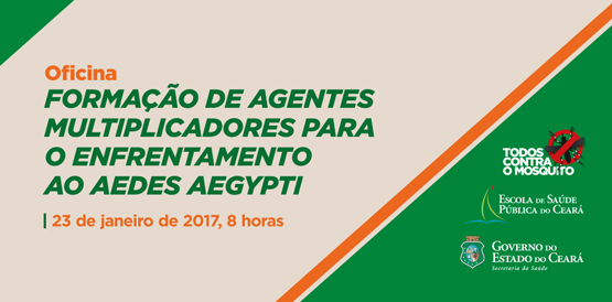 Comitê realiza oficina de capacitação para combate ao mosquito