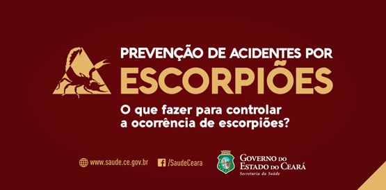 Saúde orienta como evitar acidentes com escorpiões