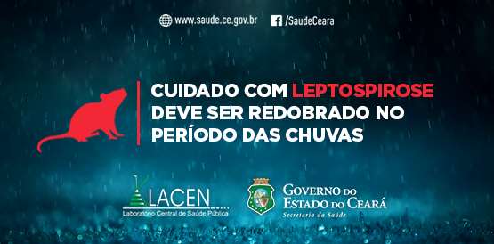 Com as chuvas, é importante ter cuidado para evitar leptospirose