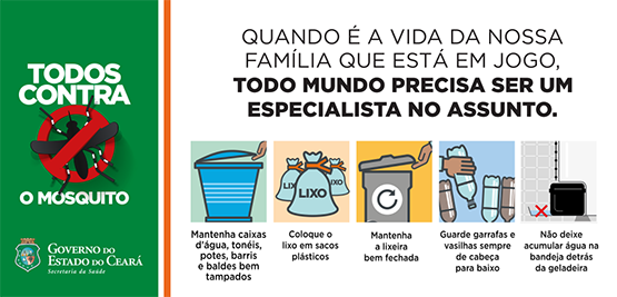 Ações contra o mosquito devem ser permanentes para evitar doenças