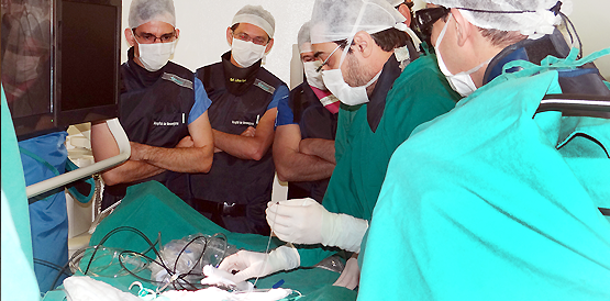Cardiologistas de outros estados recebem treinamento no HM
