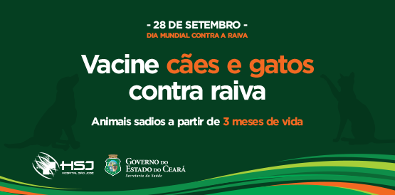 Dia Mundial de Combate à Raiva, prevenção e vigilância evitam a doença