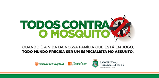 Curso treina técnicos na análise de dados epidemiológicos das arboviroses