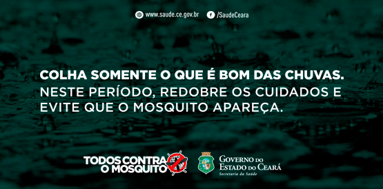 Com chuvas, cuidados contra mosquito devem ser redobrados