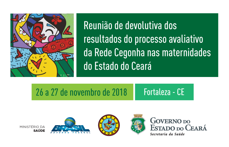 Oficina conclui segundo ciclo avaliativo da Rede Cegonha no Ceará