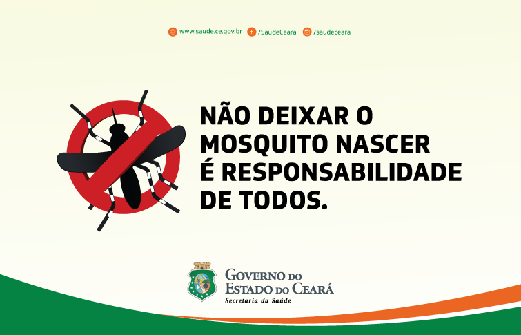 Atitudes simples ajudam na prevenção e controle do mosquito
