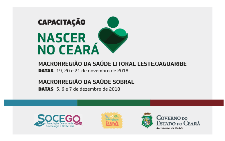 Saúde capacita 1.400 profissionais para linha de cuidado materno-infantil