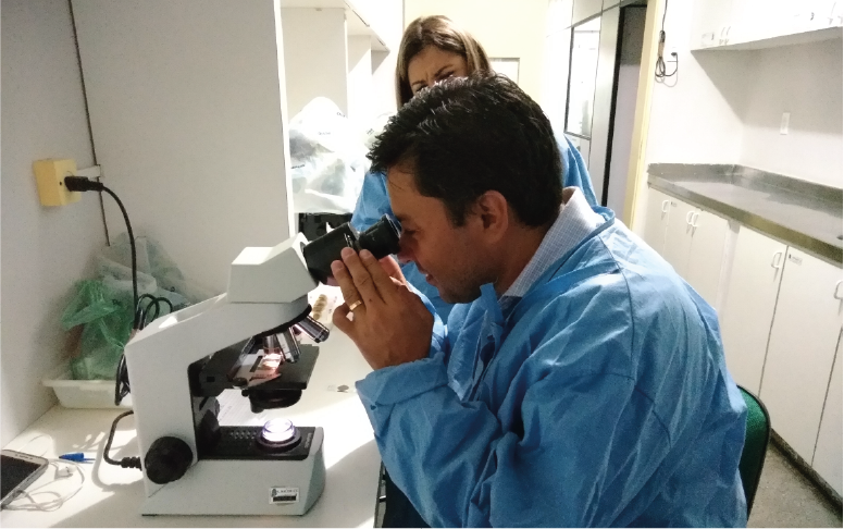Laboratório da Sesa é reconhecido em estudo de vetores e doenças