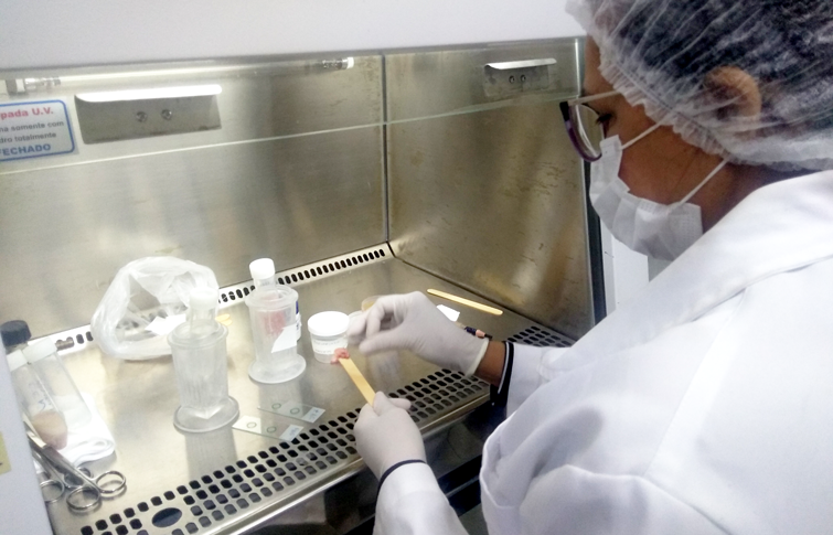 Laboratório é referência em exames para diagnóstico da raiva