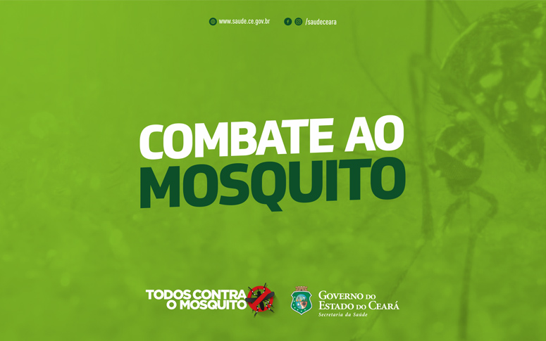 Cuide da saúde, não deixe o mosquito nascer